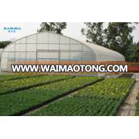 cheap tunnel green house baolida vegetable tunnel green house for tomato