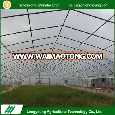 Factory price commercial plastic tunnel greenhouse for sale