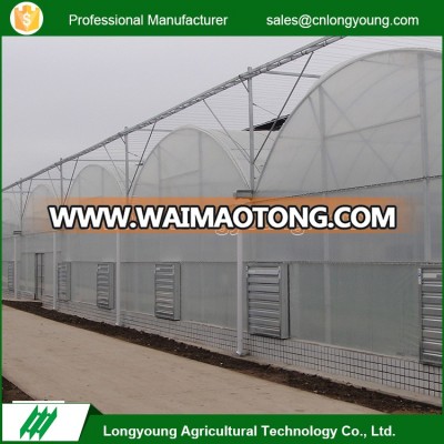 2017 Hot sell custom industrial economical multi span greenhouse