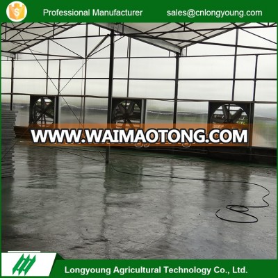 2017 Professional venlo shape vegetable and fruit agriculture poly greenhouses