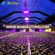 Medical Growing Light Deprivation Greenhouse with Blackout System