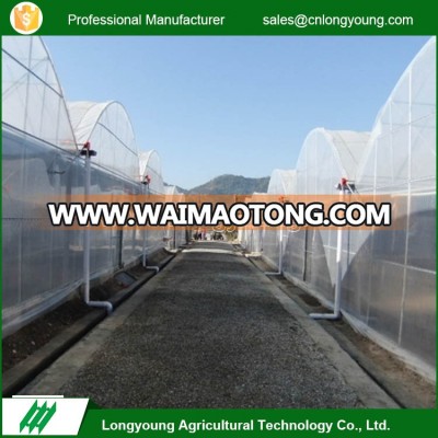 2017 Professional plastic film multi-span low cost agricultural greenhouse