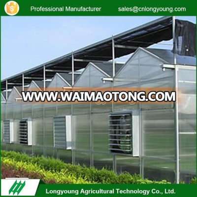 Customized design polycarbonate sheet agricultural garden greenhouse china