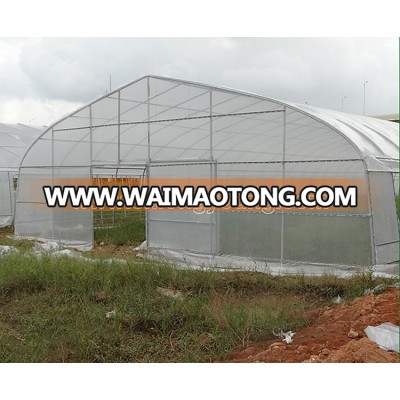 Single span agriculture plastic commercial greenhouse for farming