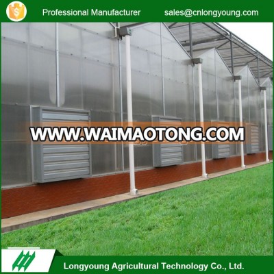 Uv coating polycarbonate Sheet Greenhouses for agriculture(ISO9001:2008)