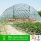 High quality HDPE plastic greenhouse film with UV resistant