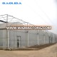 Factory Price Irrigation Greenhouse for Sale