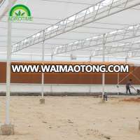 solar hydroponic greenhouse for sale in China