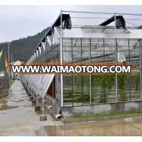 Venlo glass cover metal frame greenhouse