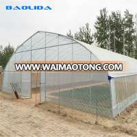 Hot Sale Vegetable Factory Greenhouse