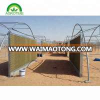 2015 Hot sale Single plastic green house for vegetables