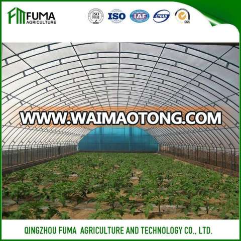 FM Cheap Light Deprivation Tunnel Greenhouse for Sale